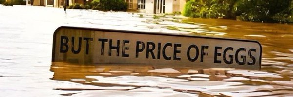 Bros4America Profile Banner