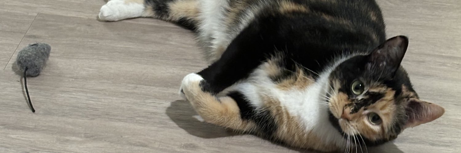 ScottieFred's profile banner image