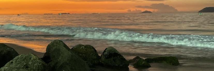 crf_tami's profile banner image