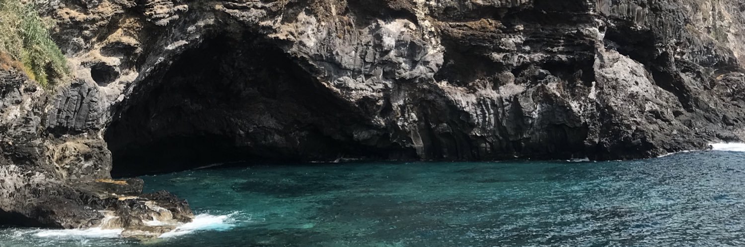 S🇮🇨 banner
