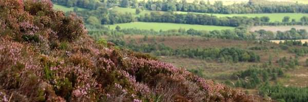 CSARural_Env Profile Banner