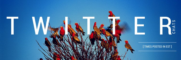 allchats's profile banner image