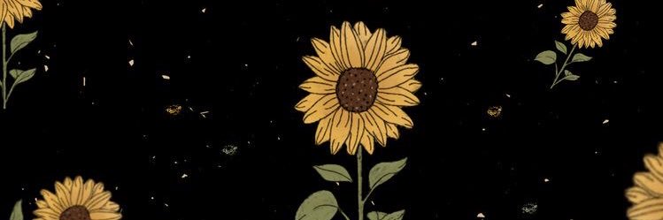 CarolinFededa's profile banner image