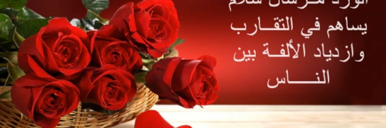 halim_2025's profile banner image