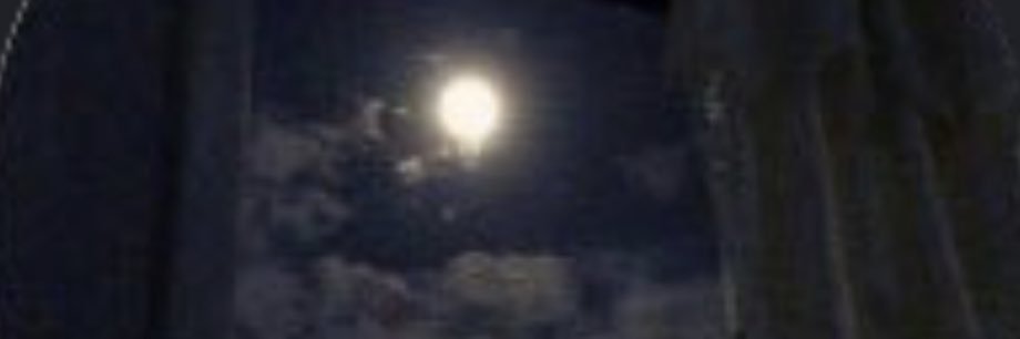 all_005's profile banner image