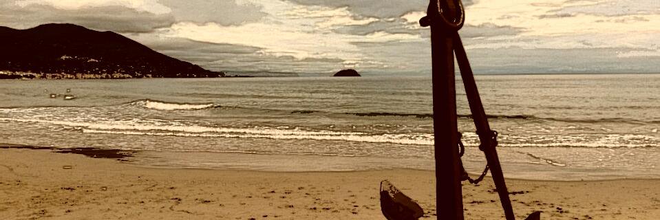 polla_max's profile banner image