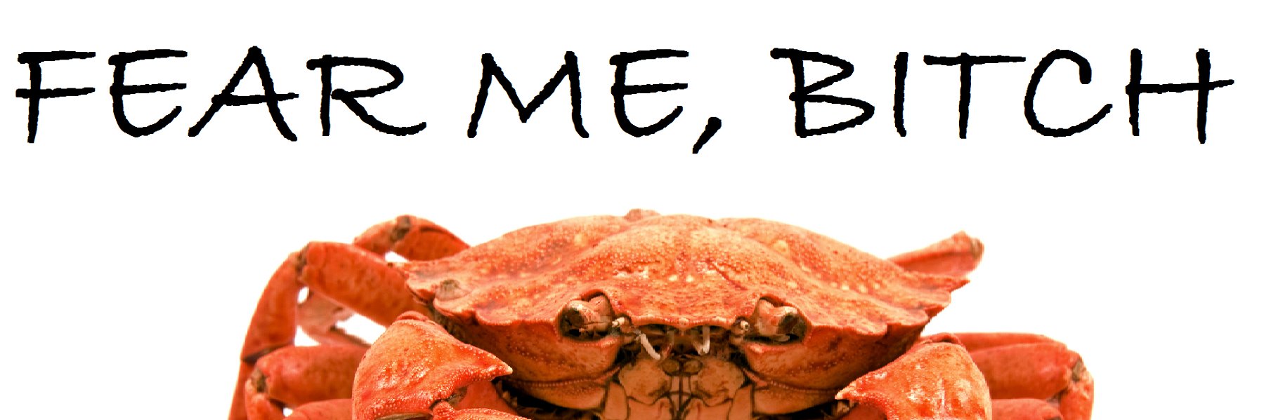Salchipapote banner