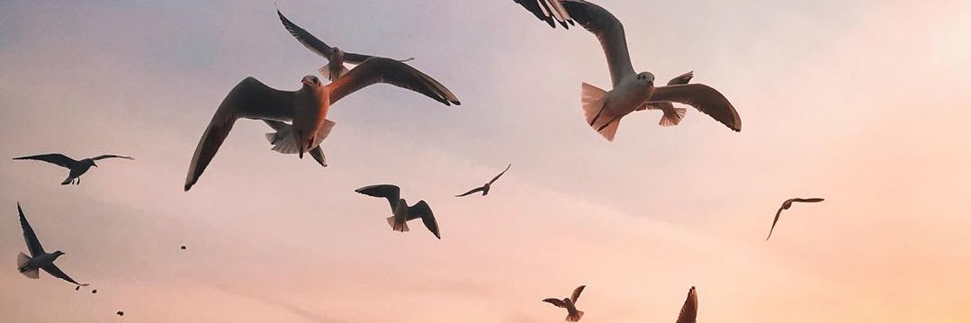 akdayse's profile banner image