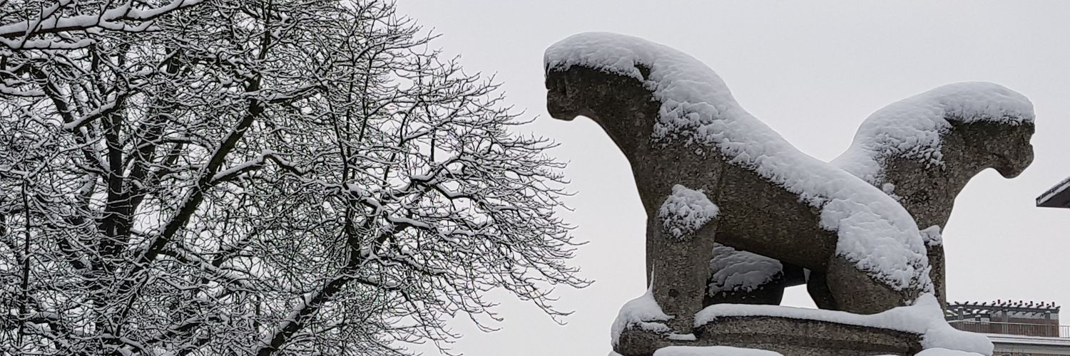 Frédéric Pons banner