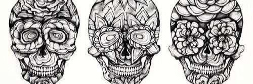 Kayla_Kenney's profile banner image