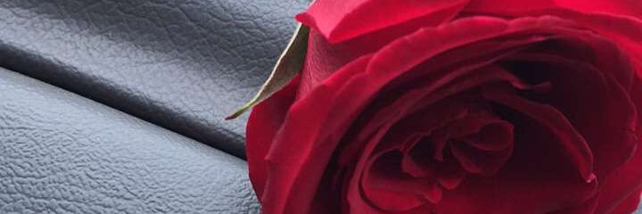 AFama2014's profile banner image