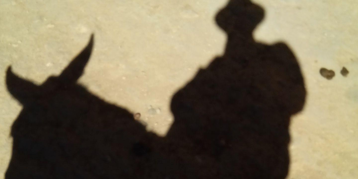 amadrigal's profile banner image