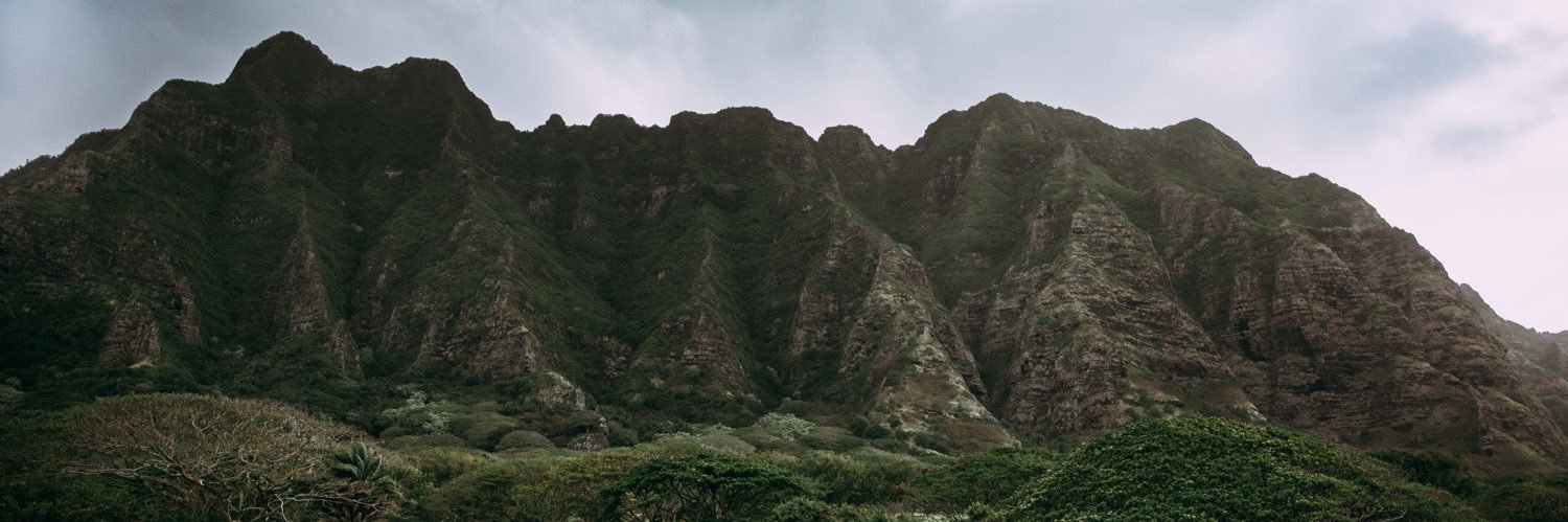 reignnecisneros's profile banner image