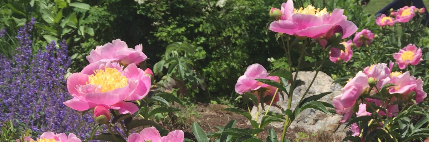 Scottlaw9's profile banner image