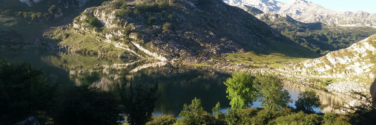 nursingbcn's profile banner image