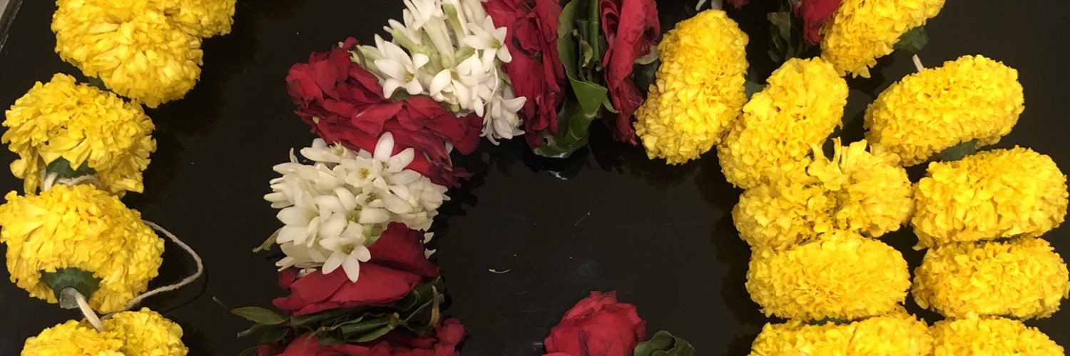 Sveva Avveduto banner