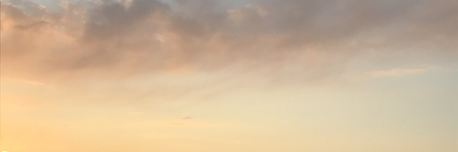 rosestars_'s profile banner image