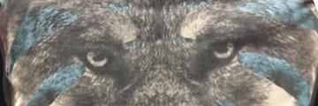 ifonlyitweeted's profile banner image