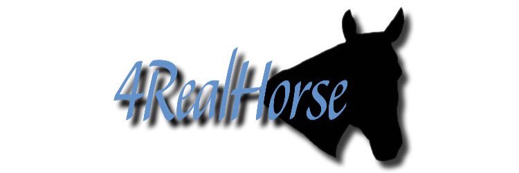 4RealHorse's profile banner image