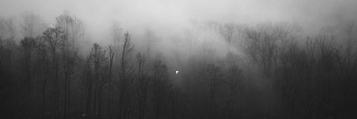 Svn96's profile banner image