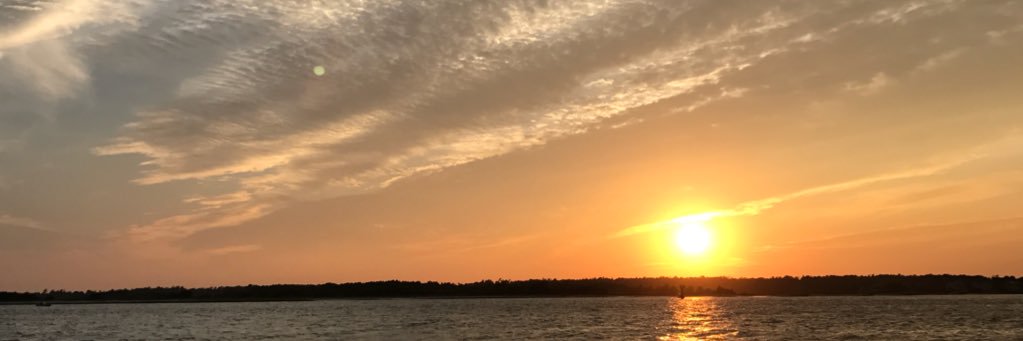 logan_seelman's profile banner image