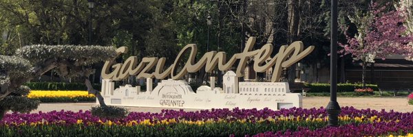 BoraTezel Profile Banner