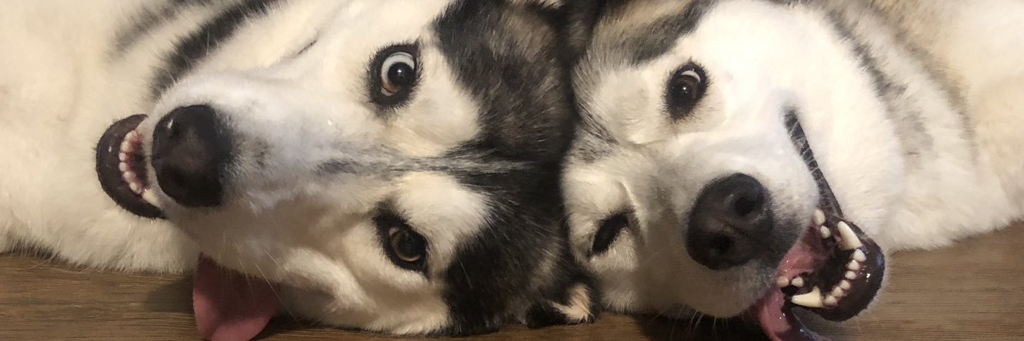 lyncee23's profile banner image