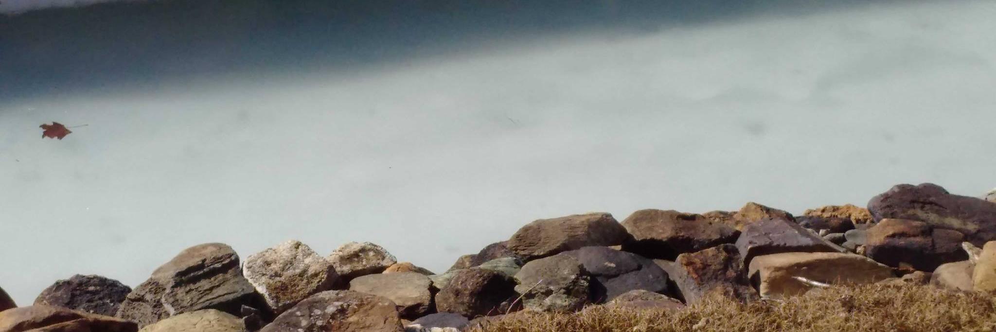 SebStFrancois's profile banner image