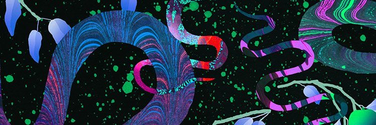 CorinaAlzuri's profile banner image