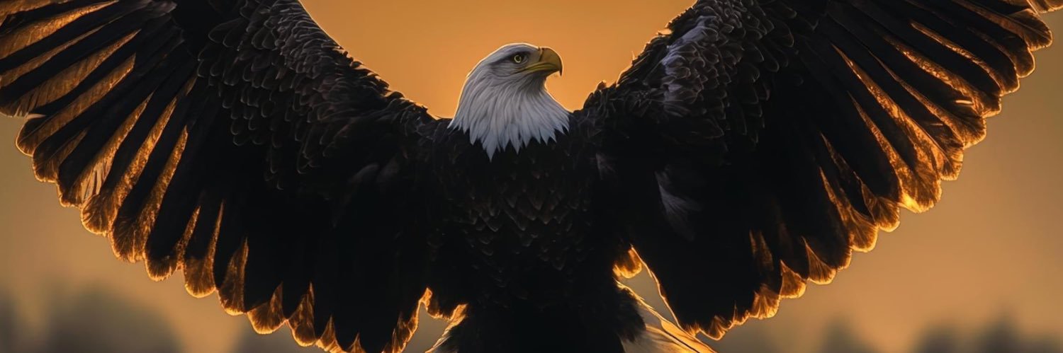 tinyane_'s profile banner image