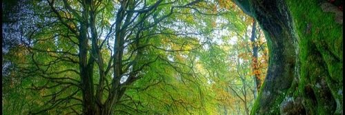 rby7296's profile banner image