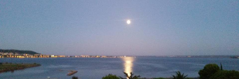 Florian RELLE banner