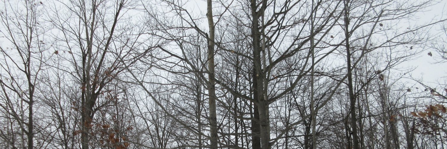 4evergotshorter's profile banner image