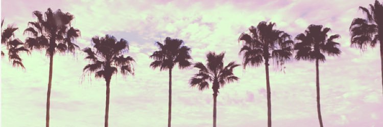 xoElizabethRoy's profile banner image