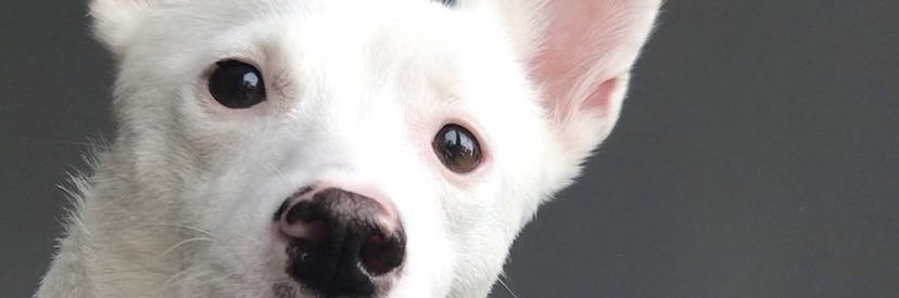 floowee's profile banner image