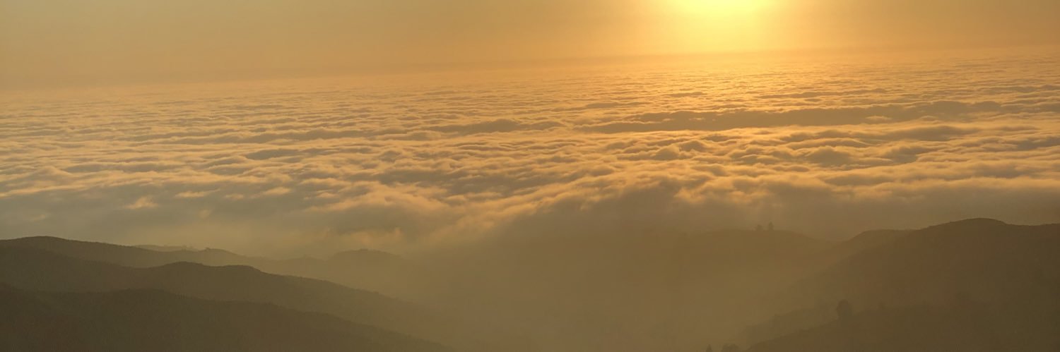 QuinnThomp3's profile banner image