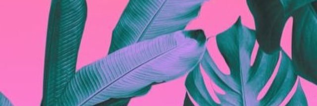beauhemian2's profile banner image