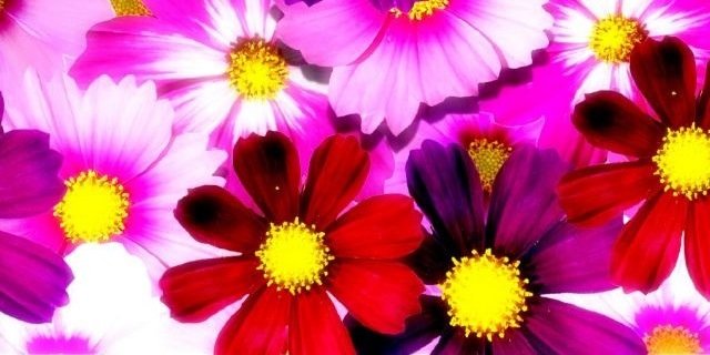 Darlla27's profile banner image