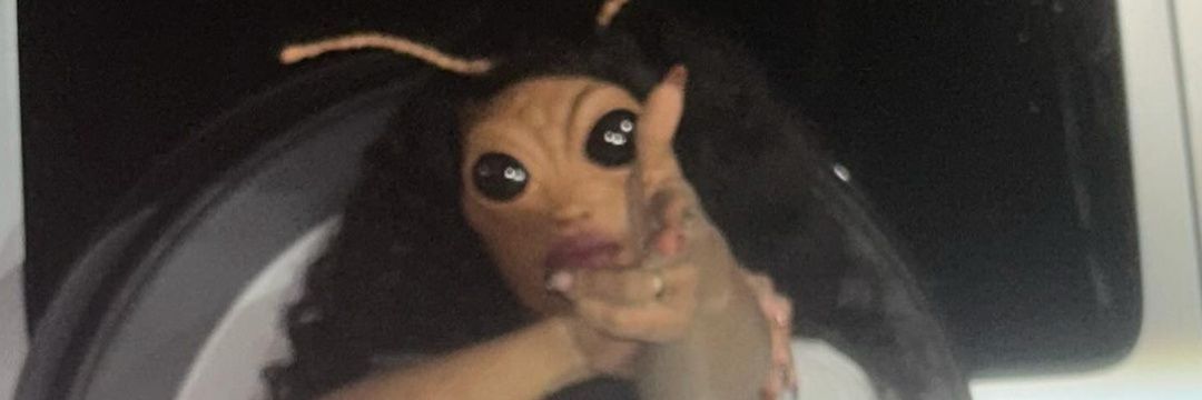 Cannye's profile banner image