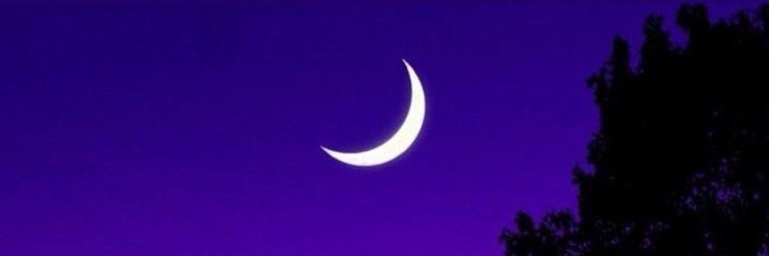 ssncrysf's profile banner image