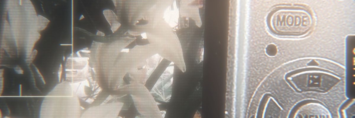 ˗ˏˋ ⏾ belen🍹🌺 banner