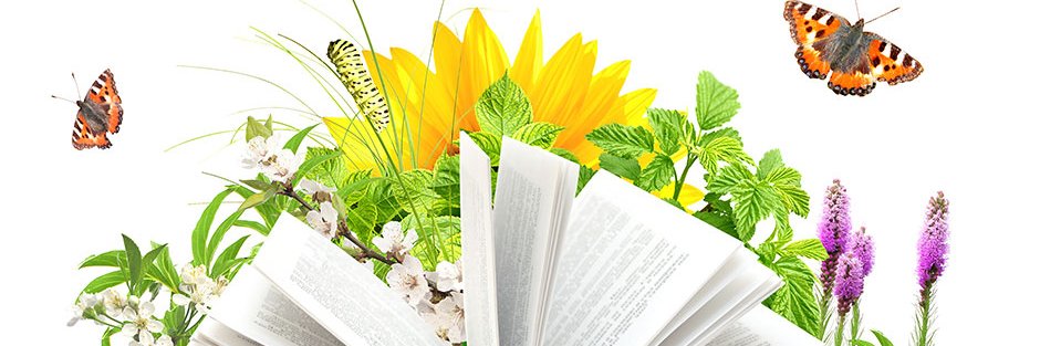 RTI158's profile banner image