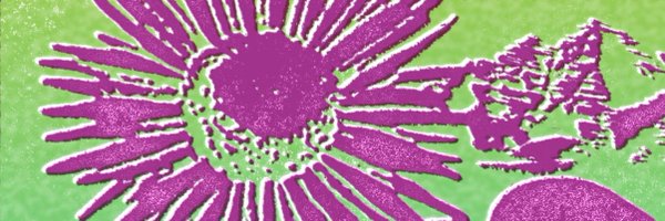 WhatevsClevRecs Profile Banner