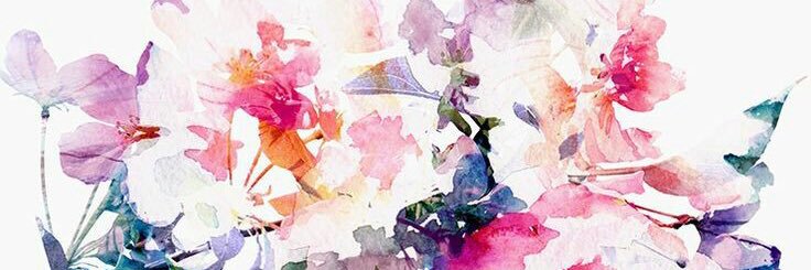 DorienGr's profile banner image