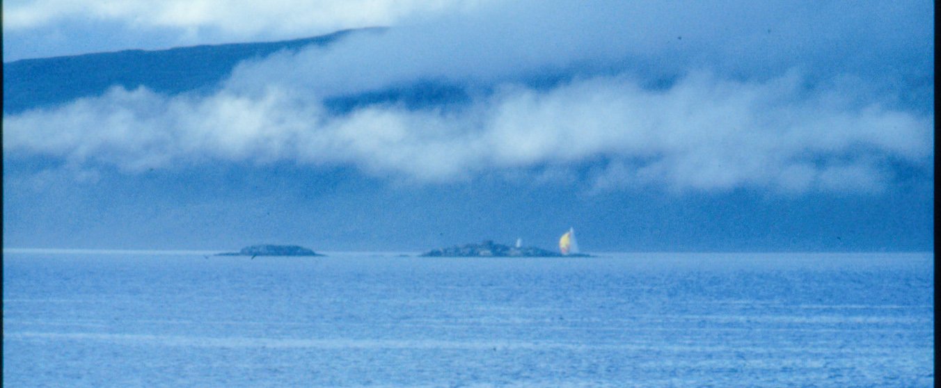 _timcooper's profile banner image