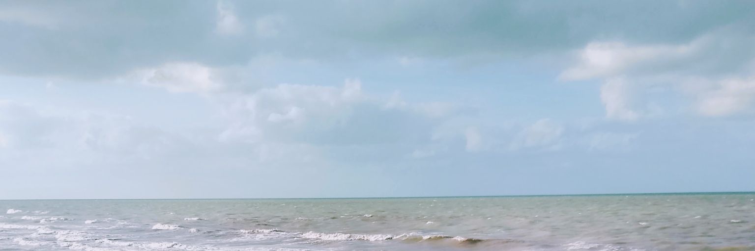 OctavioLazaro_'s profile banner image