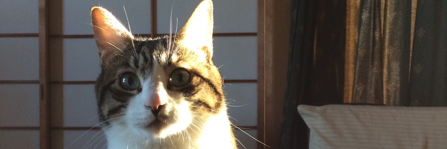 t43414833's profile banner image