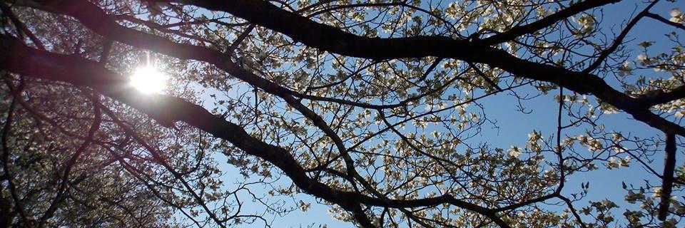 Greggmc965's profile banner image