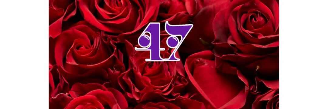 tkmtys244's profile banner image