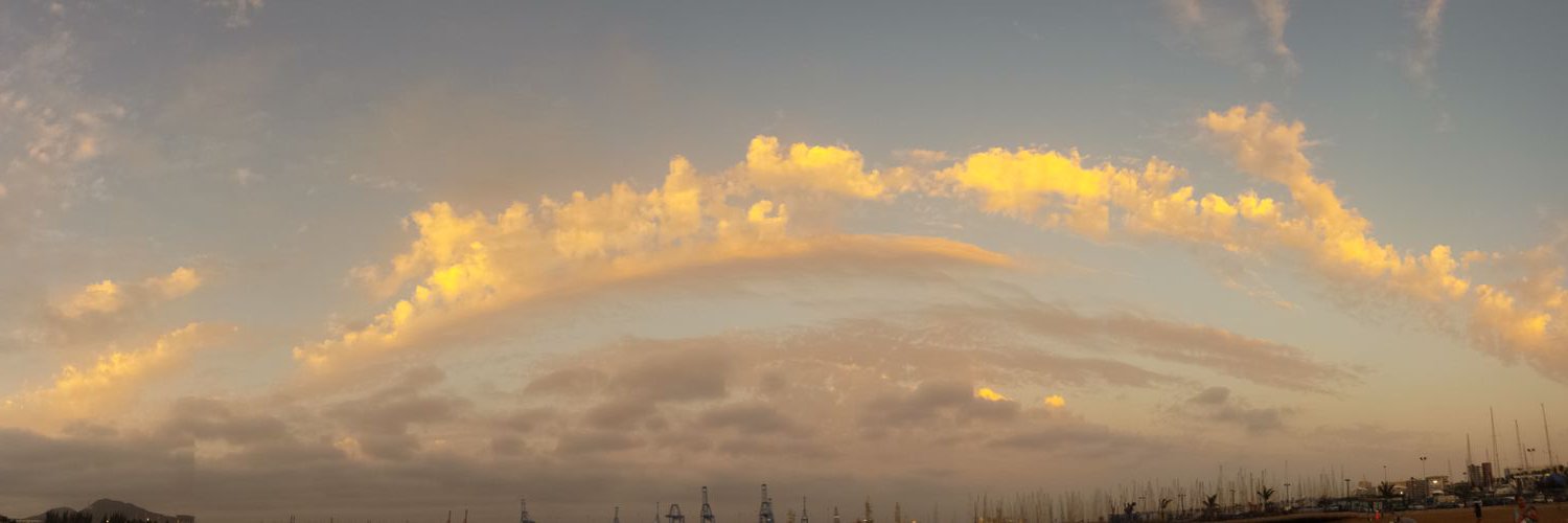 silcalcin's profile banner image